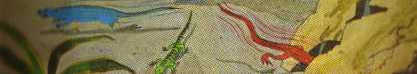 colorful lizards